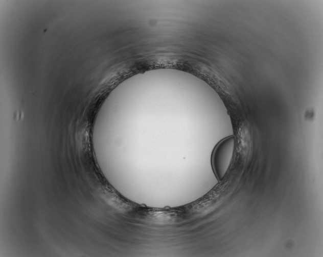 X0000098000522200804071221