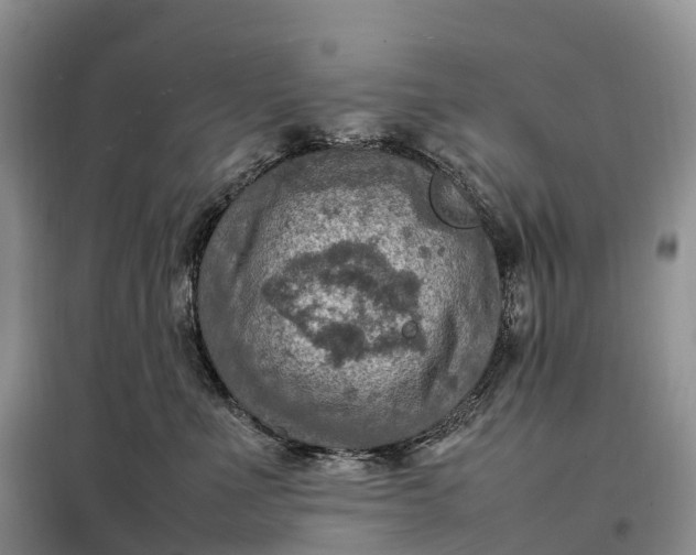X0000098000523200804071221