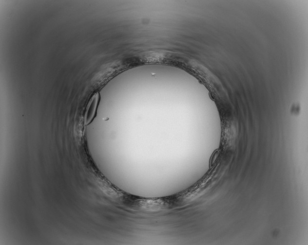 X0000098000525200804071221