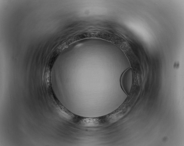 X0000098000526200804071221