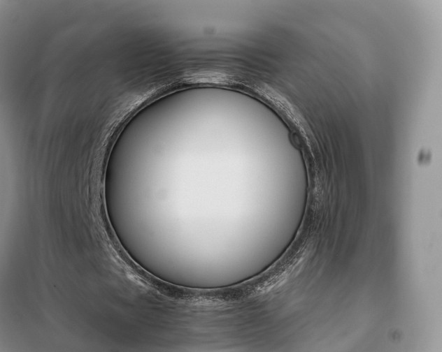 X0000098000529200804071220