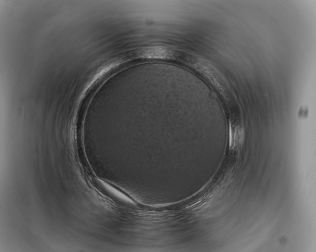 X0000098000531200804071220