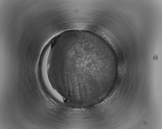 X0000098000532200804071220