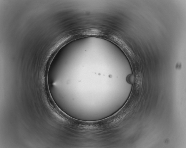X0000098000533200804071220