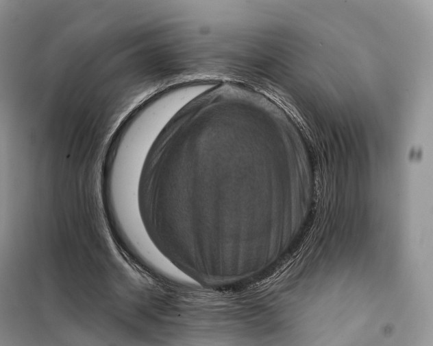 X0000098000534200804071220
