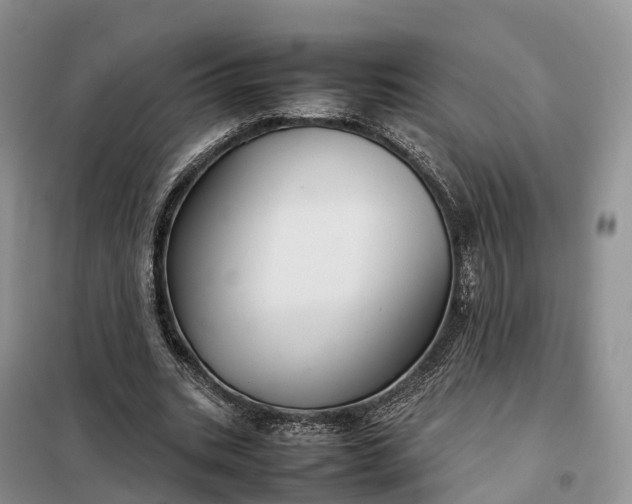 X0000098000535200804071220