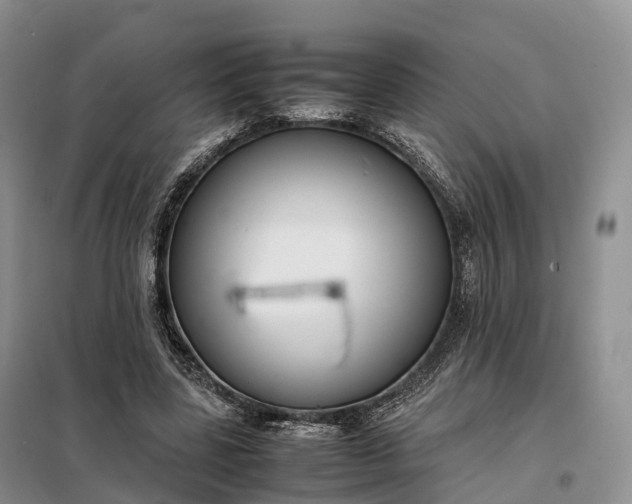 X0000098000539200804071220