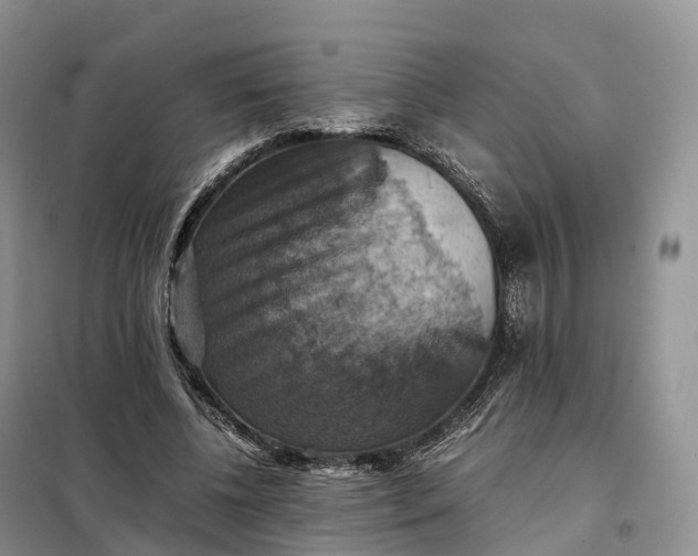 X0000098000540200804071220
