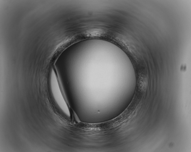 X0000098000543200804071221
