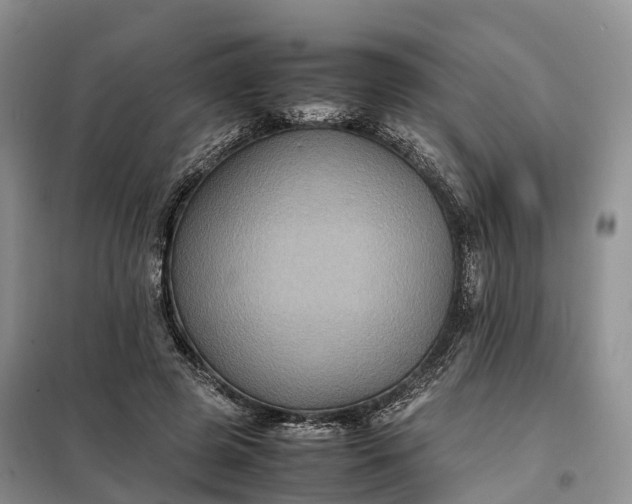 X0000098000545200804071221