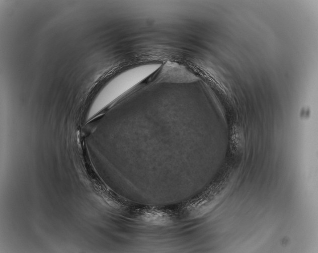 X0000098000547200804071221