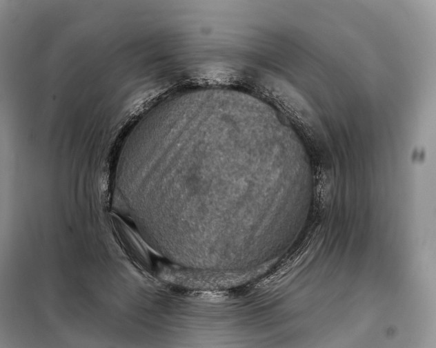 X0000098000548200804071221