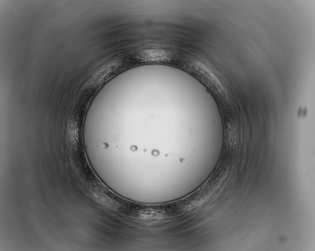 X0000098000549200804071221