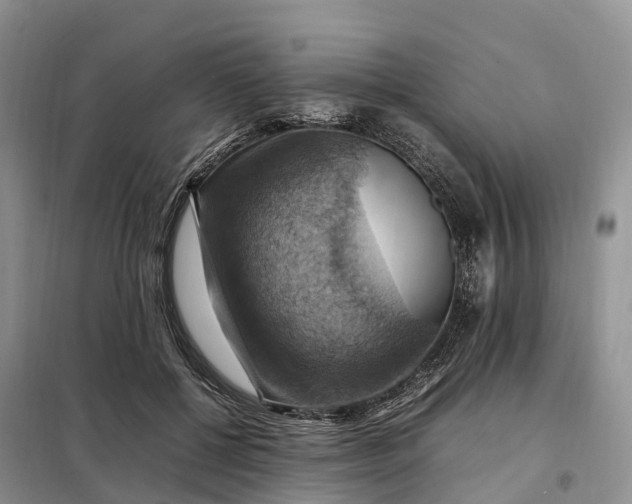 X0000098000552200804071221