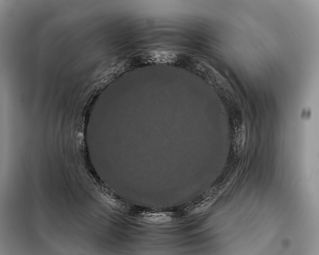 X0000098000553200804071221