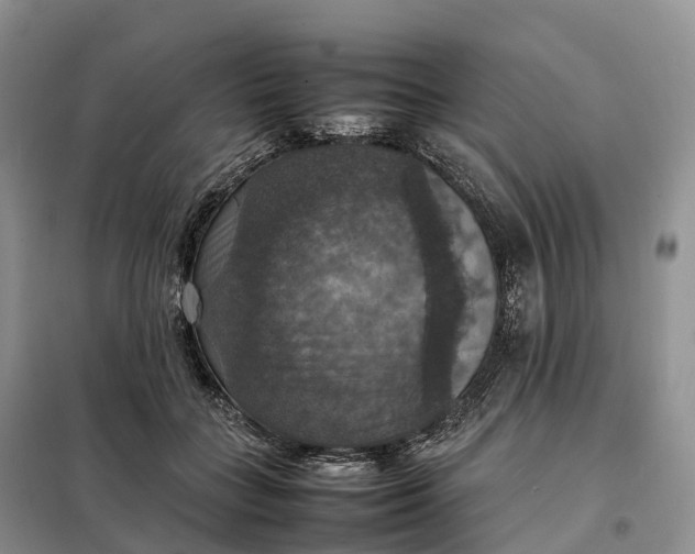 X0000098000555200804071221
