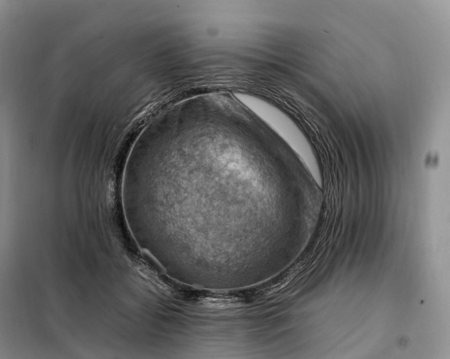 X0000098000556200804071221