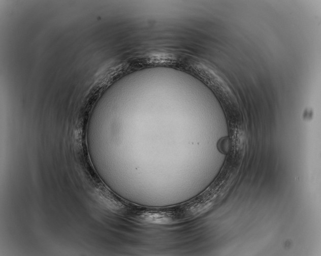X0000098000557200804071221