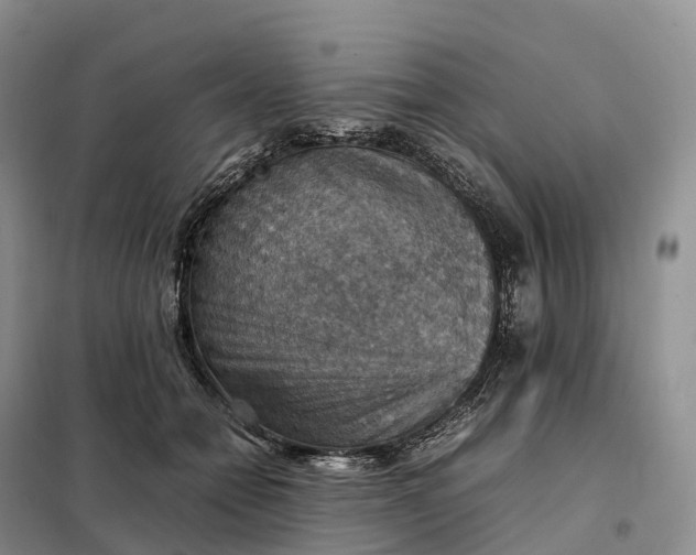 X0000098000558200804071221