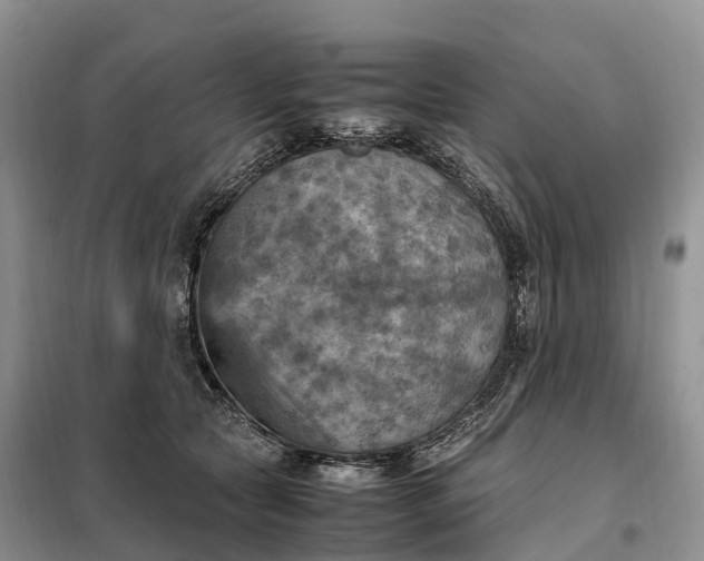 X0000098000561200804071221