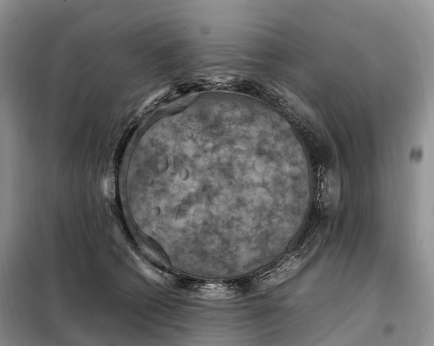 X0000098000562200804071221