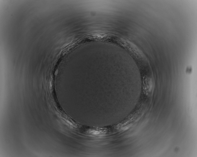 X0000098000563200804071221