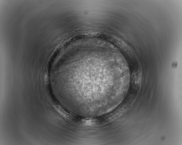 X0000098000564200804071221