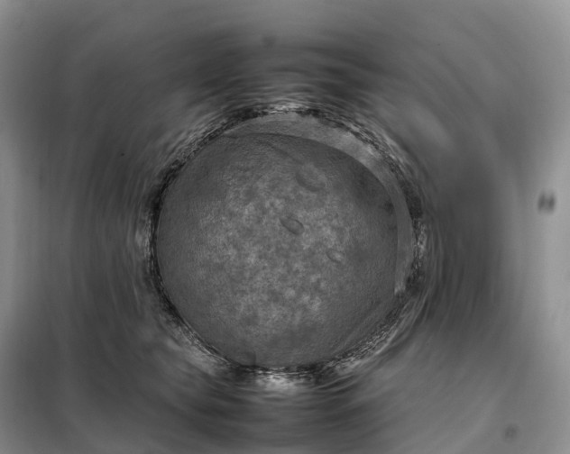 X0000098000565200804071221