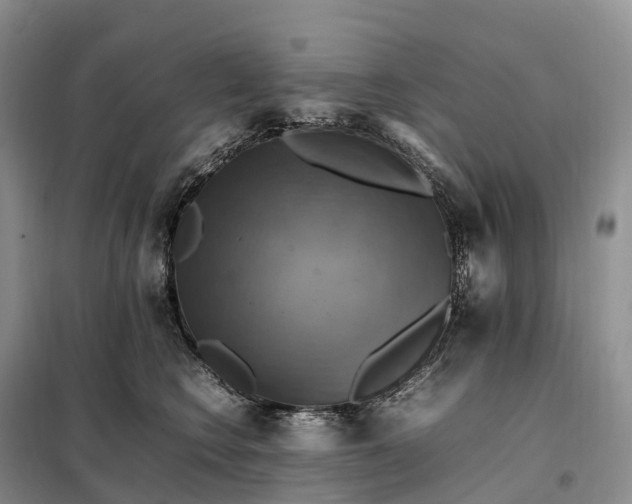 X0000098000566200804071221