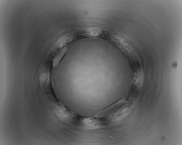X0000098000568200804071221