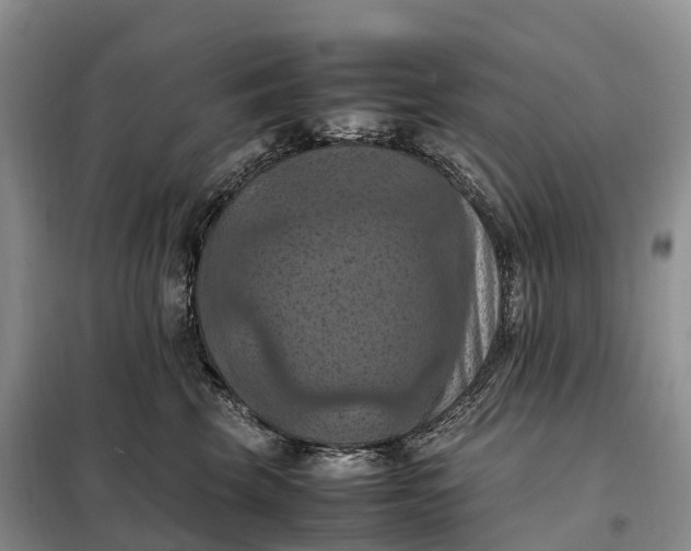 X0000098000569200804071221