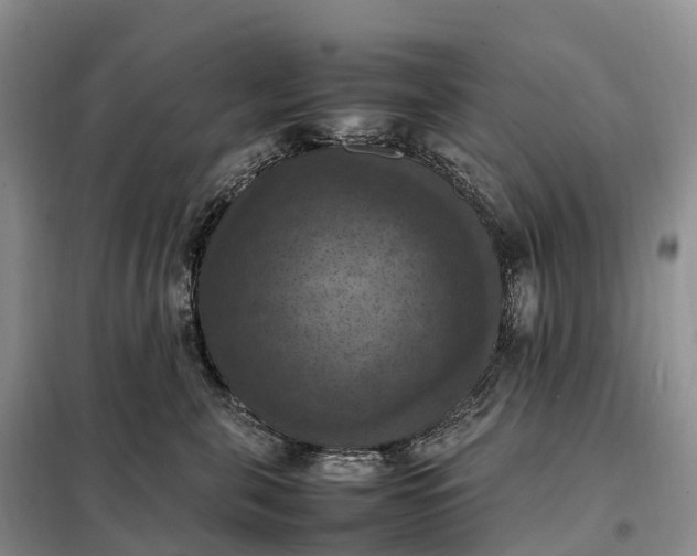 X0000098000571200804071221
