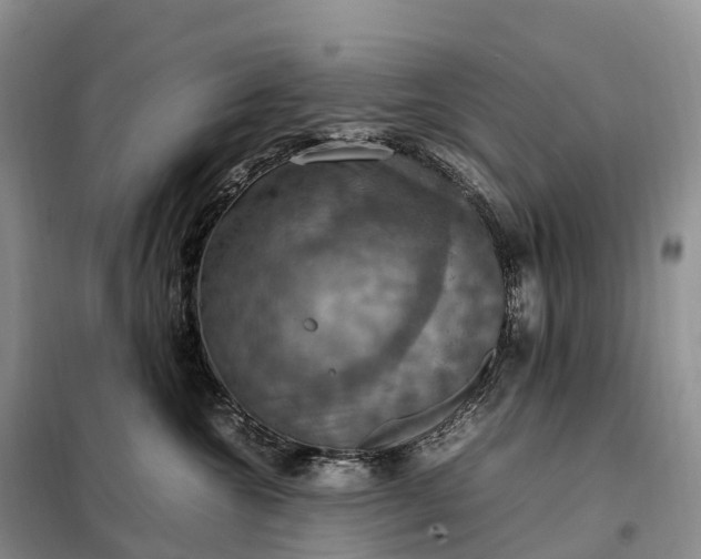 X0000098000572200804071221