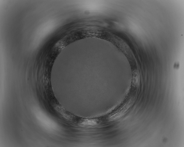 X0000098000573200804071221