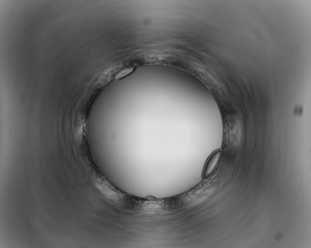 X0000098000574200804071221