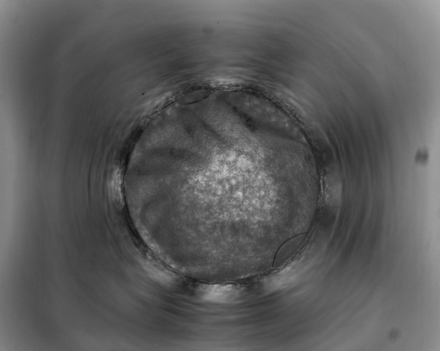 X0000098000575200804071221