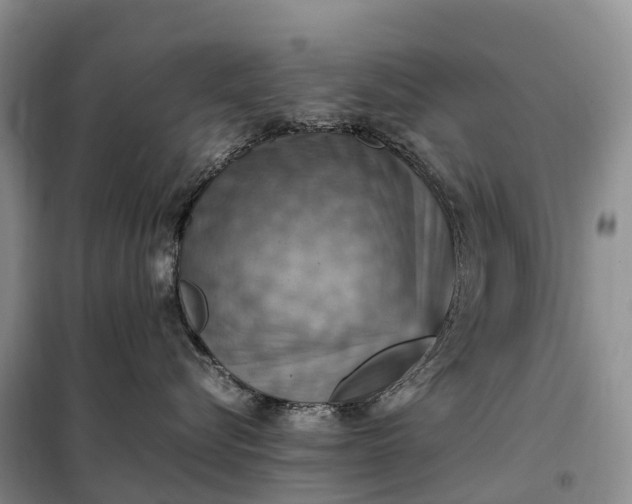 X0000098000576200804071221