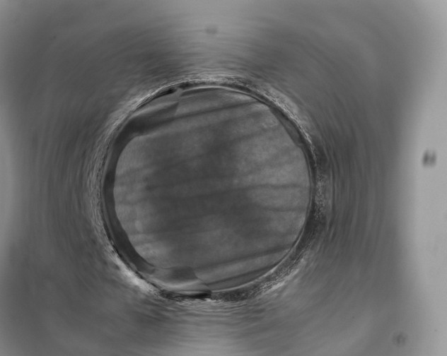 X0000098000577200804071220