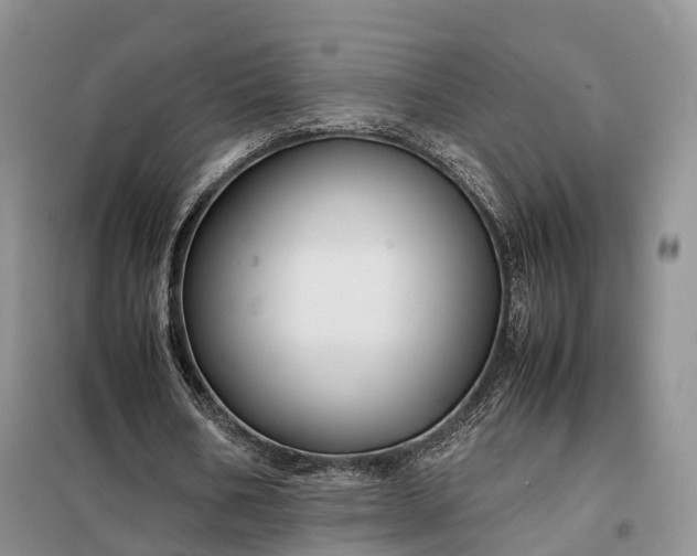 X0000098000578200804071220