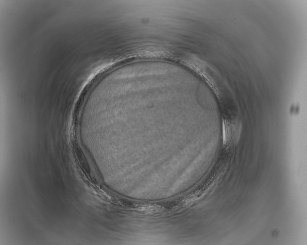 X0000098000579200804071220