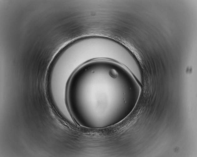 X0000098000580200804071220