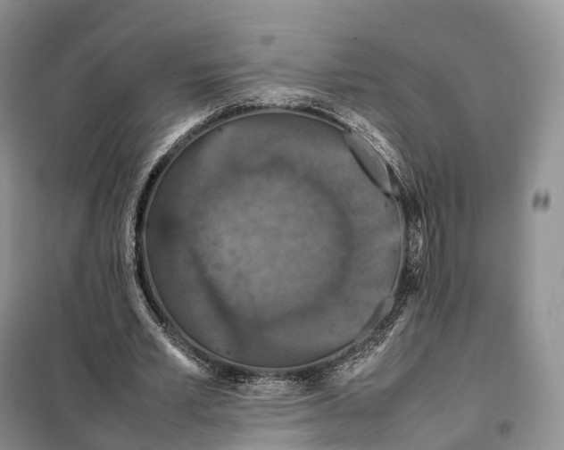 X0000098000581200804071220