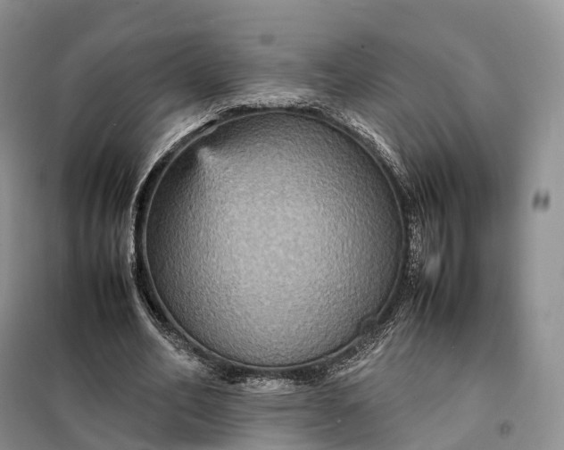 X0000098000582200804071220