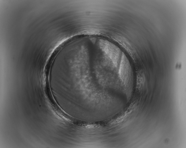 X0000098000584200804071220