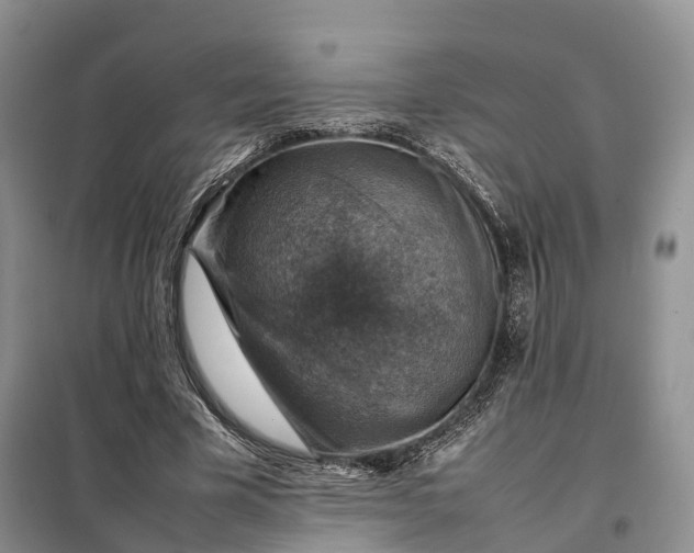 X0000098000585200804071220