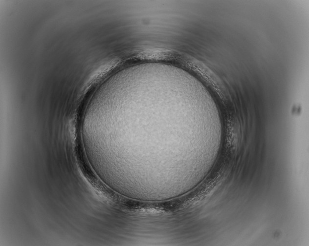 X0000098000586200804071220