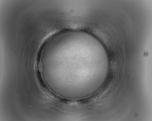 X0000098000587200804071220