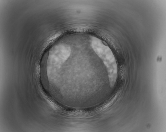 X0000098000589200804071220
