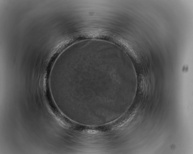 X0000098000590200804071220