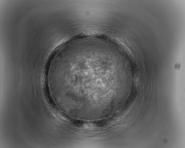 X0000098000591200804071220
